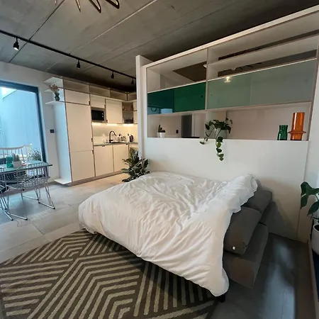 דירה Loft Design